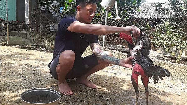 Theo Dõi Và Đánh Giá Hiệu Quả Huấn Luyện